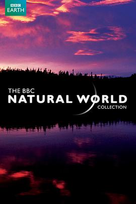 BBC自然世界：求偶游戏