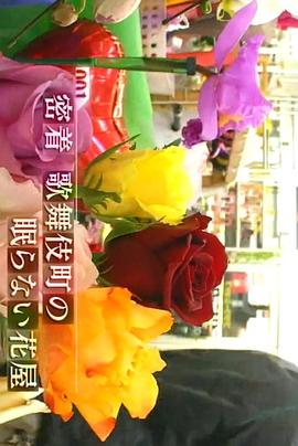 纪实72小时 歌舞伎町的不眠花店